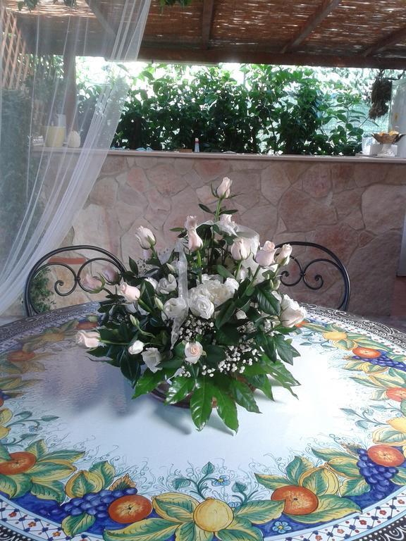 Viola Di Mare Rooms And Parking Termoli Extérieur photo